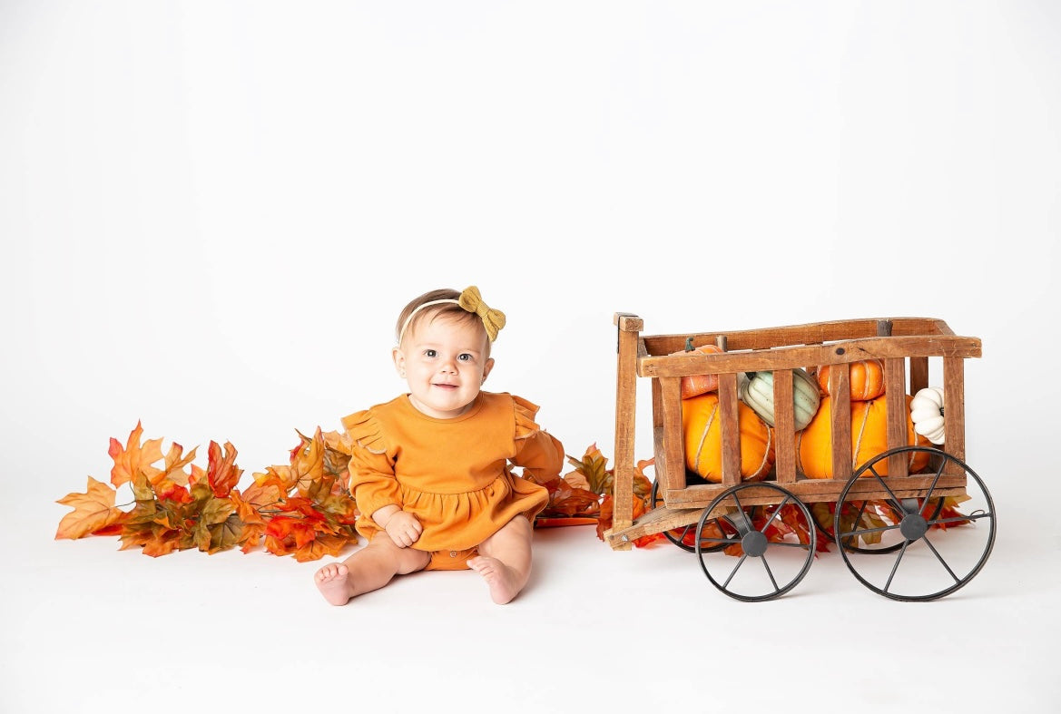 Pumpkin Ruffle Long Sleeve Romper Onesie